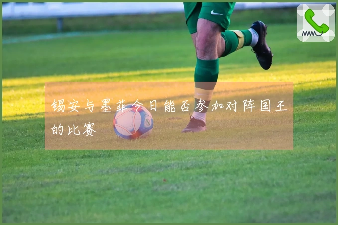 锡安与墨菲今日能否参加对阵国王的比赛