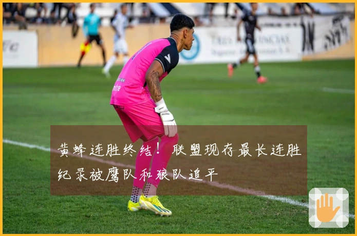 黄蜂连胜终结！联盟现存最长连胜纪录被鹰队和狼队追平